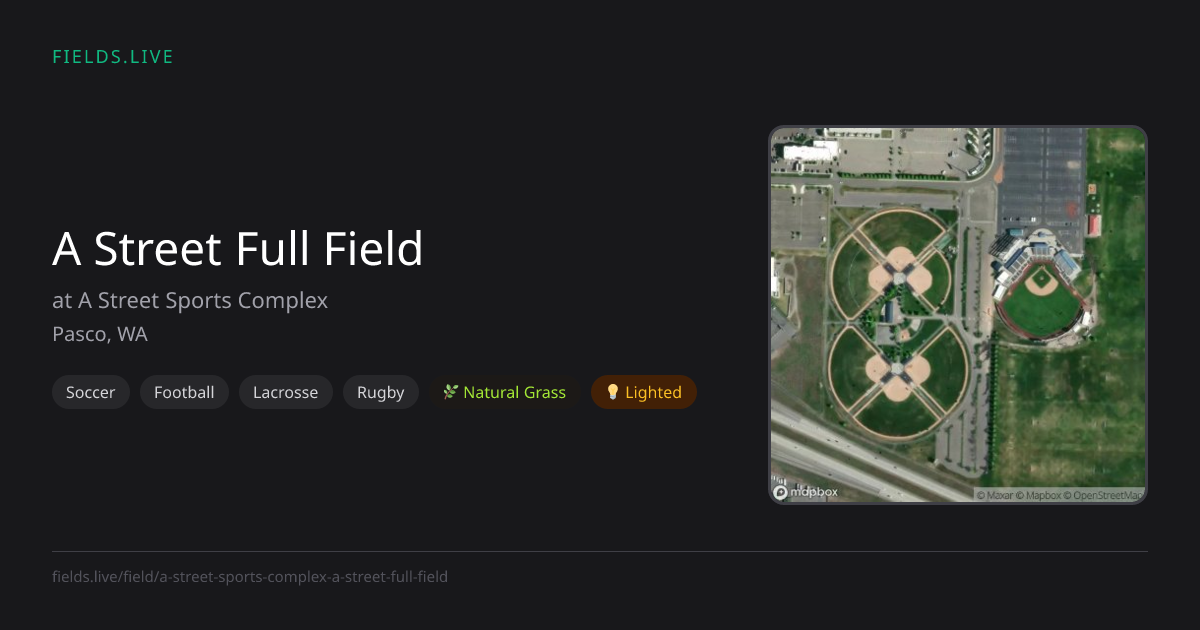 A Street Full Field | Fields.live